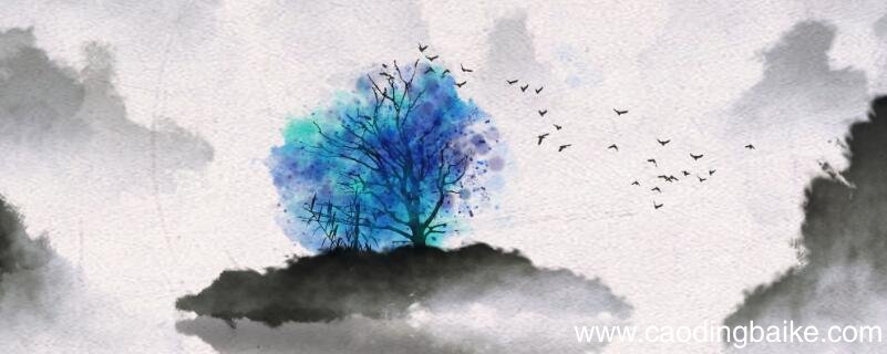 争雁文言文翻译兄弟争雁告诉我们什么道理