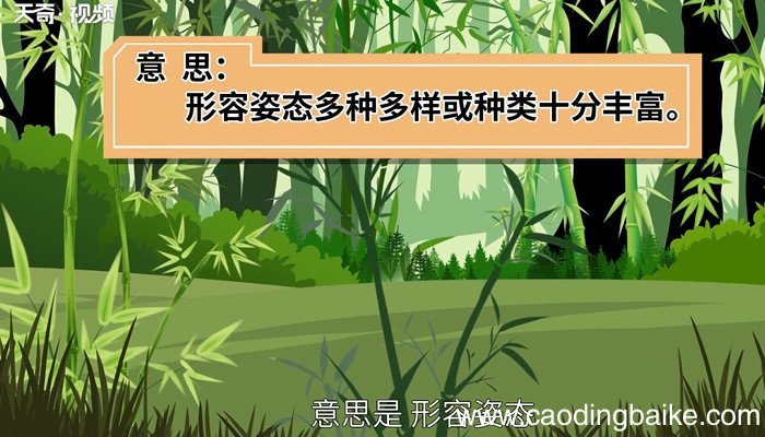 千姿百态的意思 什么是千姿百态