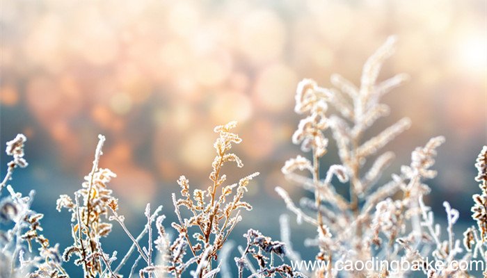 霜前冷,雪后寒的物理原因 霜前冷雪后寒是什么物理现象