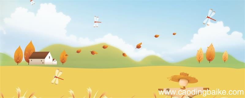 晚立秋热死牛的上一句是什么晚立秋热死牛的上一句是什么意思