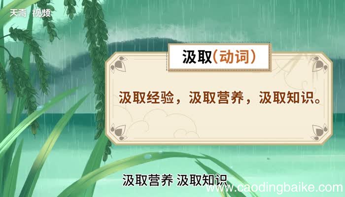 汲取的意思 汲取是什么意思