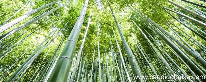 竹林七贤是指哪几位古代文人 竹林七贤是指哪几位古人