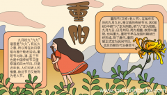 重阳节手抄报简单 重阳节手抄报简单的画法