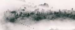 半梦半醒半浮生上一句 半梦半醒半浮生上一句是什么