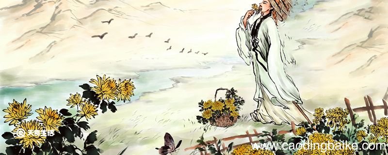 才者 德之资也 德者 才之帅也的意思 才者 德之资也 德者 才之帅也的出处