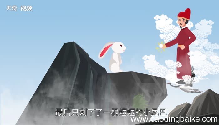 兔子尾巴歇后语 兔子尾巴歇后语是什么