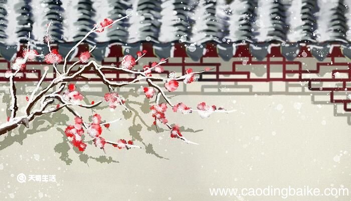 春游湖古诗的意思 春游湖古诗的意思翻译