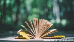 匆匆一文细腻的刻画了什么 匆匆一文细腻的刻画了啥