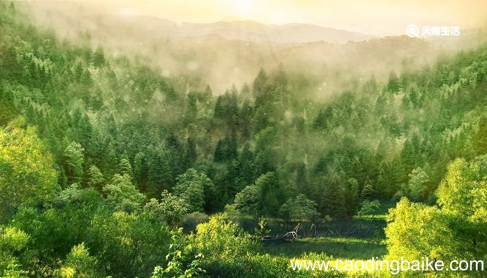 莫道桑榆晚人间重晚晴全诗 莫道桑榆晚人间重晚晴是哪一首诗