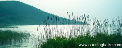望洞庭湖赠张丞相主旨 望洞庭湖赠张丞相的中心思想