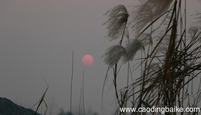 望洞庭湖赠张丞相主旨 望洞庭湖赠张丞相的中心思想