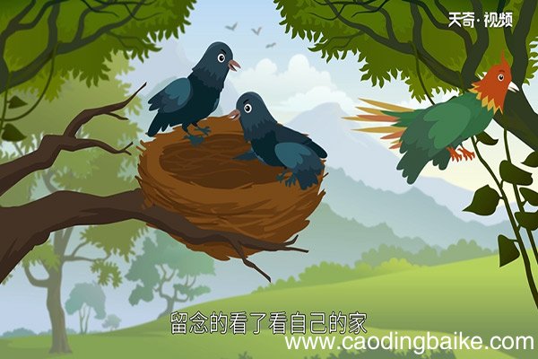 鸠占鹊巢的典故