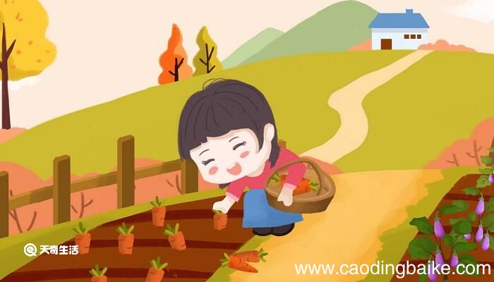 祖父的园子主要内容概括 祖父的园子中心思想和主要内容