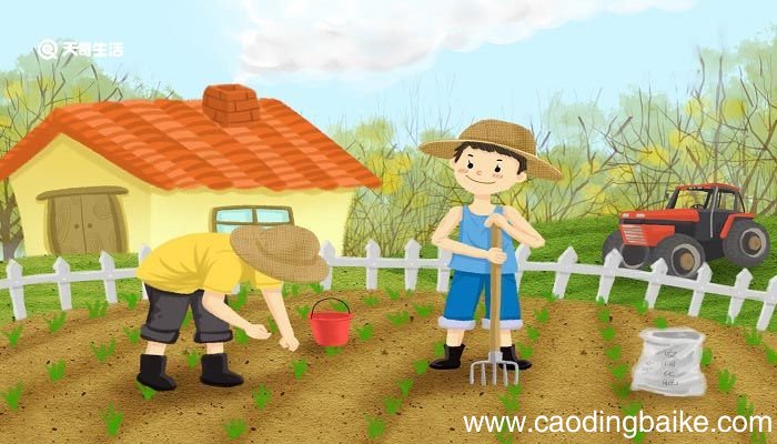 祖父的园子主要内容概括 祖父的园子中心思想和主要内容