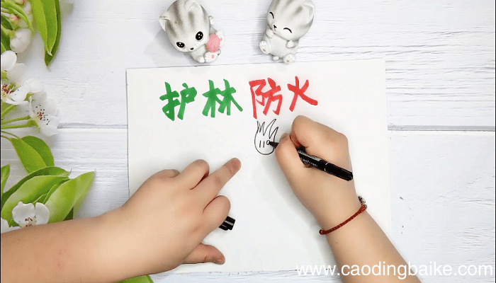 护林防火手抄报五年级 护林防火手抄报五年级画报