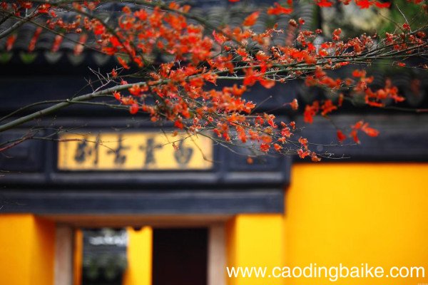 题花山寺壁古诗注音版题花山寺壁古诗翻译