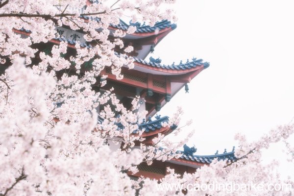 题花山寺壁古诗注音版题花山寺壁古诗翻译