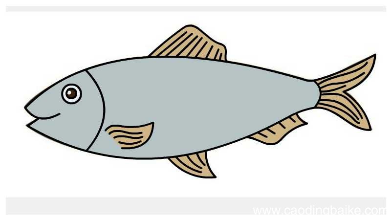 鲱鱼简笔画 鲱鱼简笔画怎么画