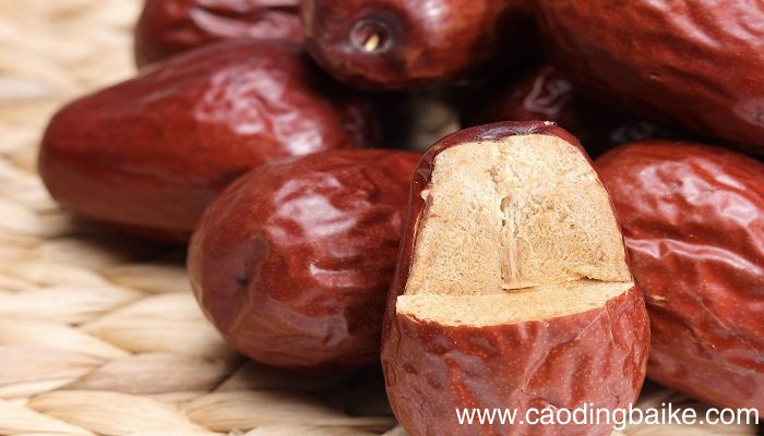 枣核课文告诉了我们什么道理 枣核课文的道理