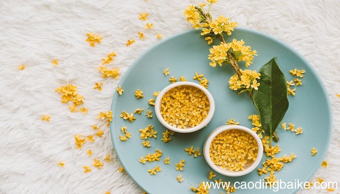 关于桂花的词有哪些 有哪些写桂花的词语