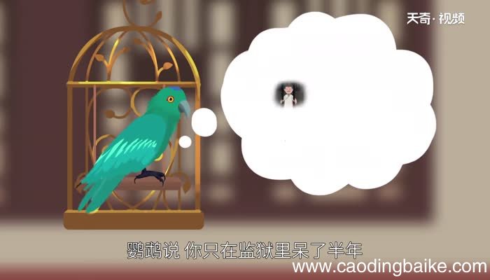 笼中鹦鹉告诉我们什么道理 笼中鹦鹉给我们的启示是什么