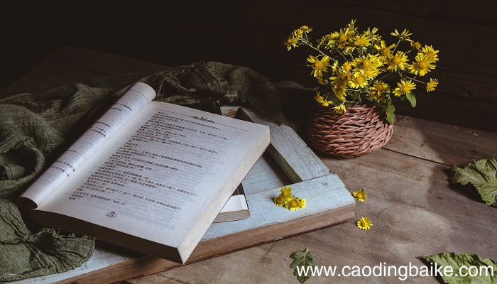 与有荣焉幸甚至哉什么意思 与有荣焉怎么造句