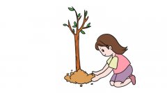 植树节图片简笔画怎么画植树节图片简笔画的教程