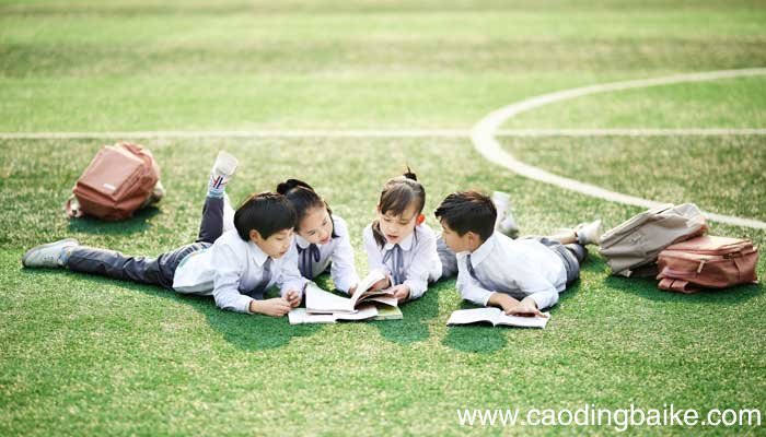 触着墙的,细丝和小圆片逐渐变成灰色缩句 触着墙的,细丝和小圆片逐渐变成灰色的缩句是