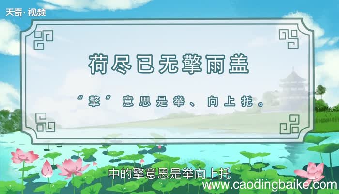 荷尽已无擎雨盖的擎是什么意思荷尽已无擎雨盖的擎的意思
