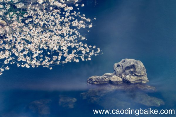 《风》李峤拼音《风》李峤全诗的意思