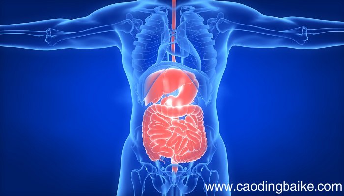 内环境中最活跃的成分 内环境中最活跃的成分是什么