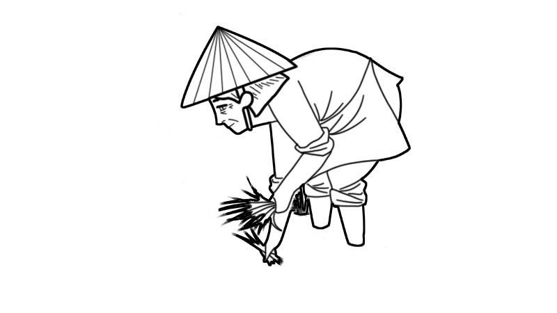 农民插秧简笔画怎么画农民插秧简笔画画法
