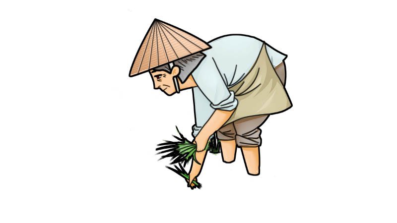 农民插秧简笔画怎么画农民插秧简笔画画法