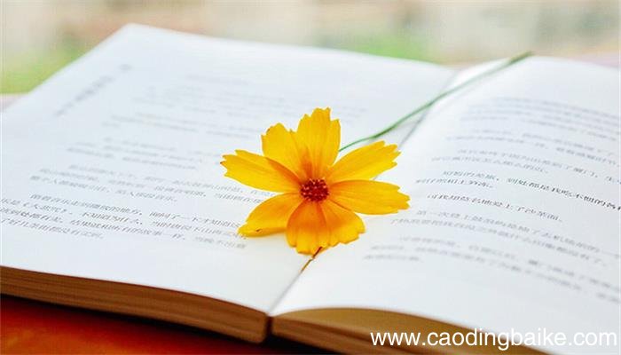 朝花夕拾朝花夕拾简介是什么