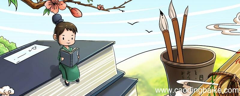 小时了了大未必佳的出处 小时了大未必佳的意思