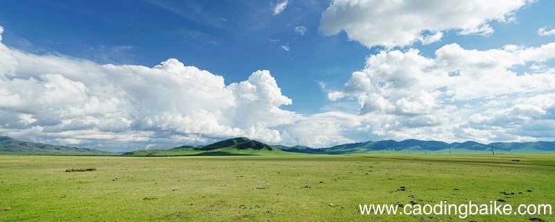 老舍草原课文解析 草原课文解读