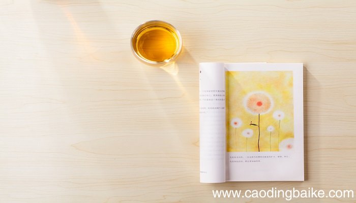 日出东方催人醒全诗 日出东方催人醒全文