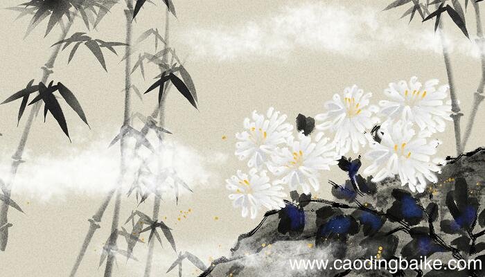 野菊杨万里颔联描绘了怎样的野菊形象 野菊表达了怎样的思想感情