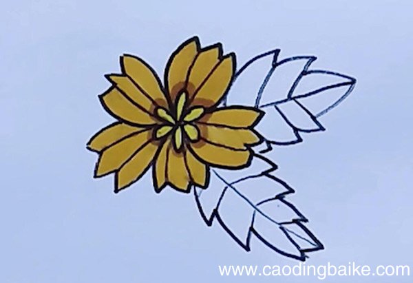 黄色小花简笔画