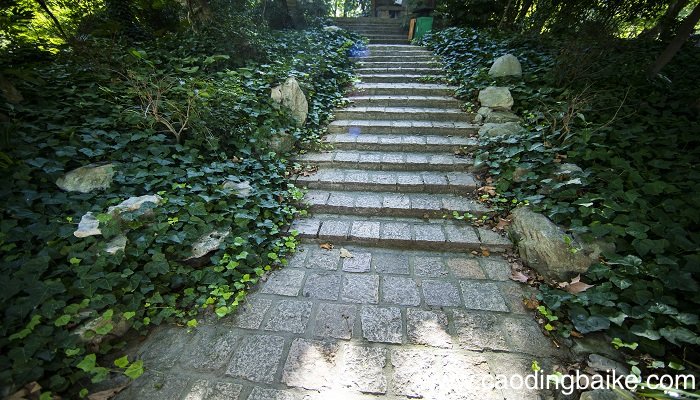 在天晴了的时候描绘了小径什么的诱人情景 在天晴了的时候描绘了小径的什么情景