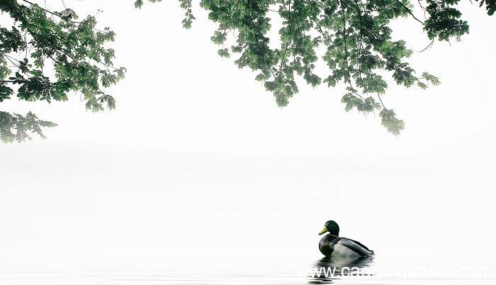 哪个唐代诗人诞生于运城 唐代诗人谁出生在运城