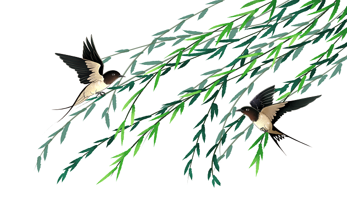 杜甫绝句两个黄鹂鸣翠柳写的是什么季节两个黄鹂鸣翠柳全诗诗意