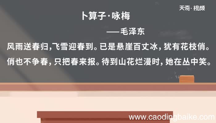 卜算子咏梅毛译文视频卜算子咏梅毛译文视频