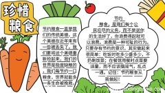 珍惜粮食手抄报怎么画 珍惜粮食手抄报如何画
