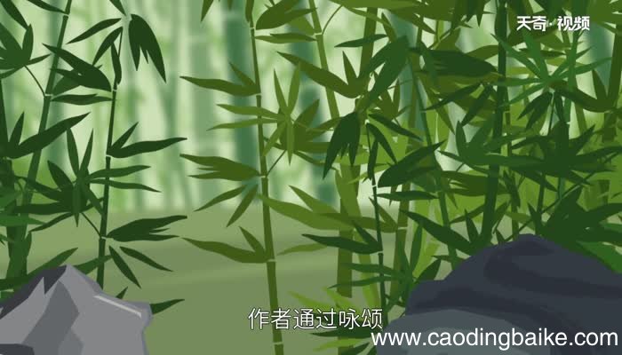 咬定青山不放松，立根原在破岩中的意思咬定青山不放松，立根原在破岩中的翻译