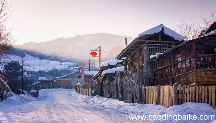 逢雪宿芙蓉山主人表达了作者内心什么情感 逢雪宿芙蓉山主人的主题思想
