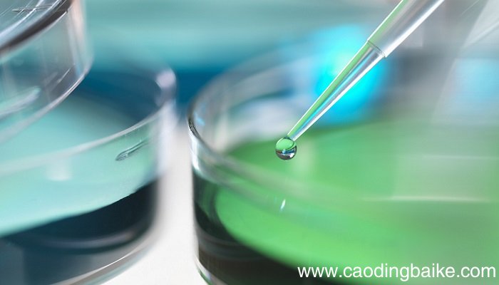 casio3是什么化学名称casio3是什么