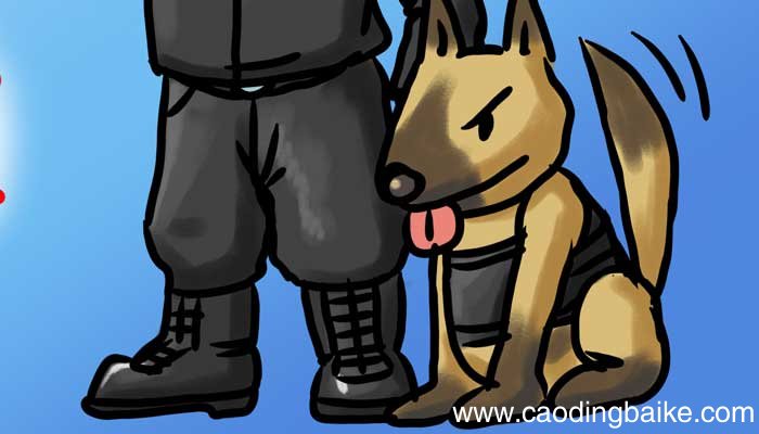 小动物的作文怎么写 写一篇小动物的作文怎么写