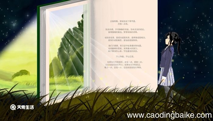 吾非圣人但见事多矣何不以锯中截而入的意思 何不以锯中截而入什么意思