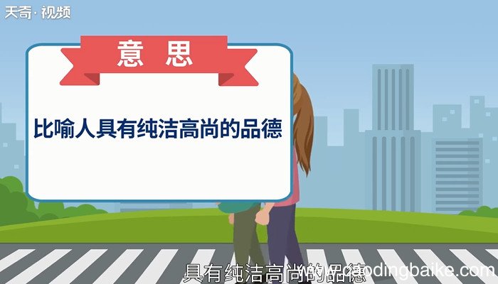 怀瑾握瑜的意思 什么是怀瑾握瑜